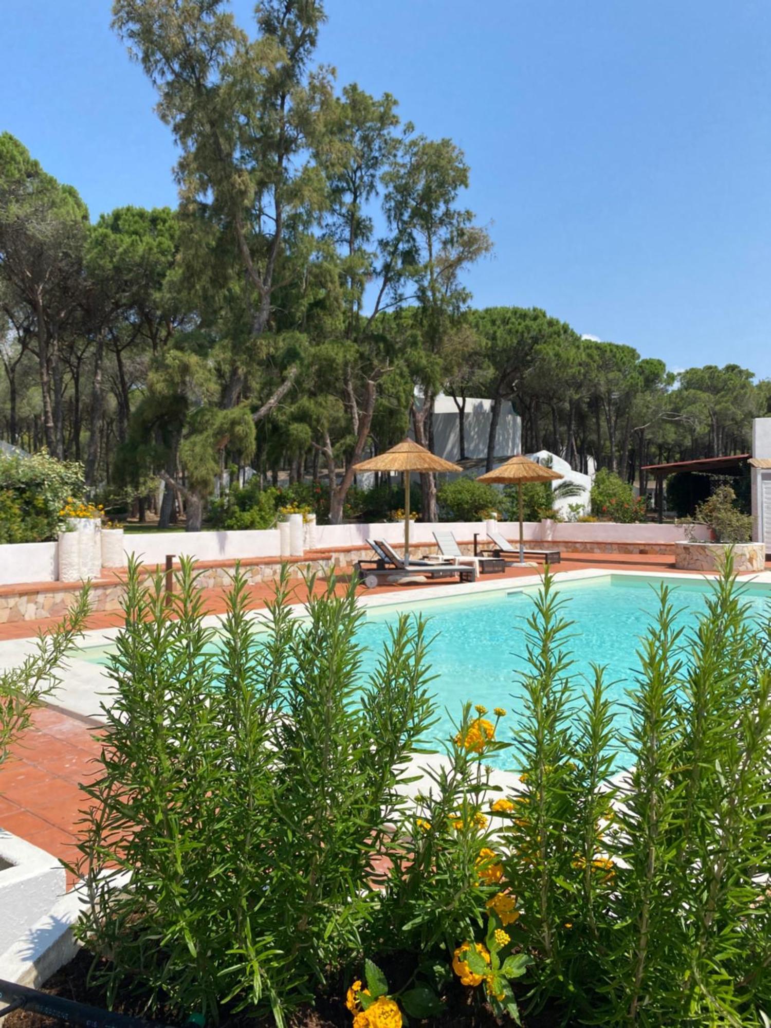 Hotel Mare Pineta سانتا مارغريتا دي المظهر الخارجي الصورة