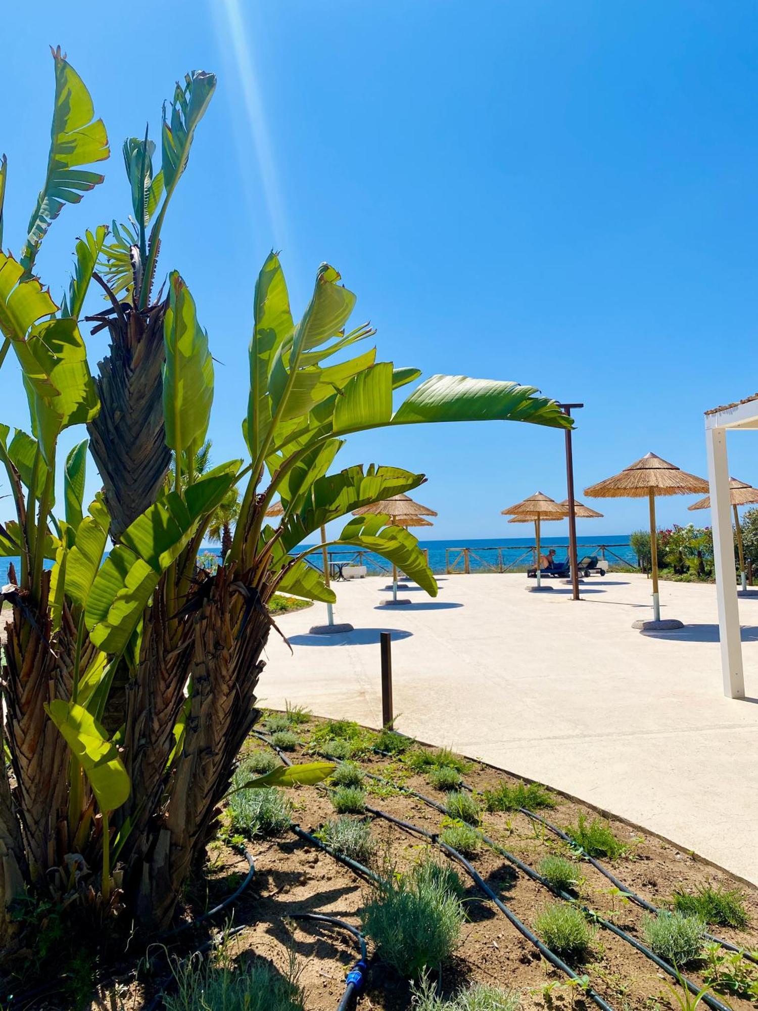 Hotel Mare Pineta سانتا مارغريتا دي المظهر الخارجي الصورة
